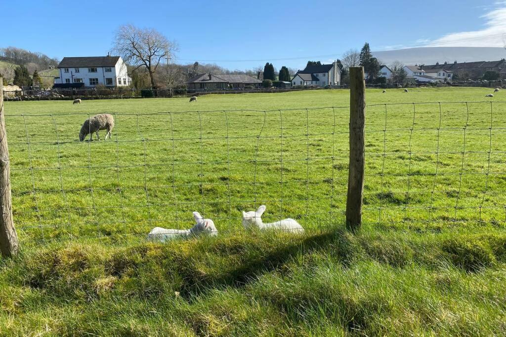 Sawley In The Forest Of Bowland - Cosy Cottage. Clitheroe Exteriér fotografie